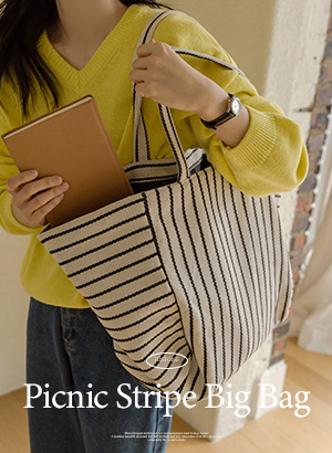 5DD00011SS_Picnic Stripe big bag